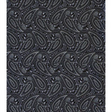 Men's Silk Printed Scarves