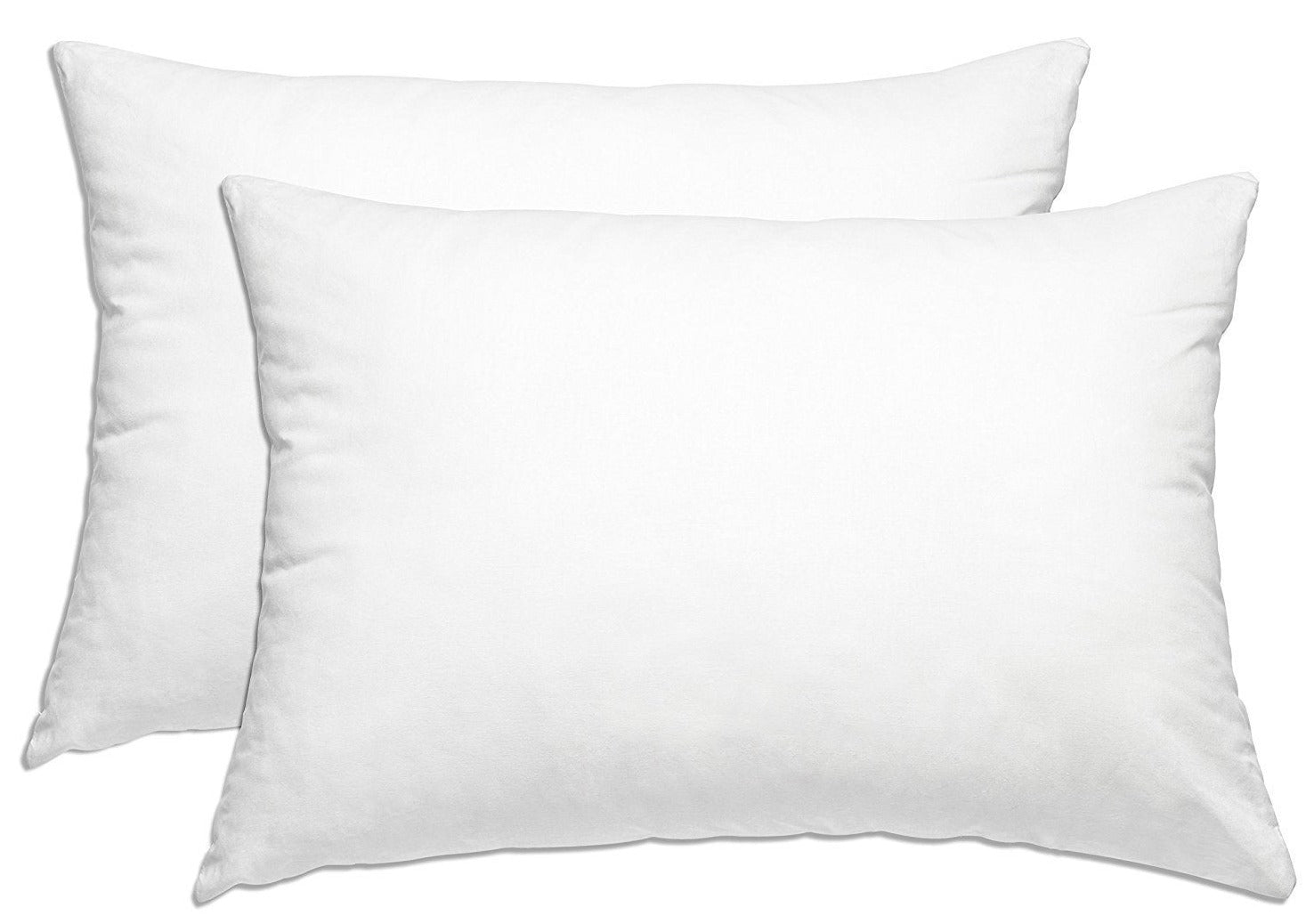 Allergy Protection, dust mites Standard Zippered Pillow Case and Protector, Add Life to your pillow set of 2