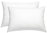 Allergy Protection, dust mites Standard Zippered Pillow Case and Protector, Add Life to your pillow set of 2