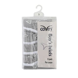 Boys Triangle Design Panty, 4pk