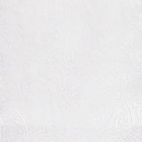 Men's Polyester Scarves with Frindges – Soft & Luxurious